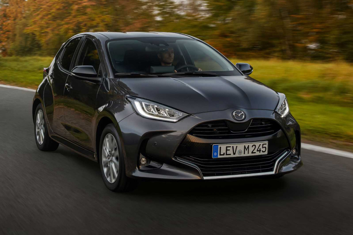 2 Limousine (2022 - Oggi)