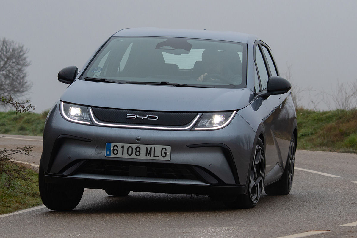 Dolphin Limousine (2024 - 2024)