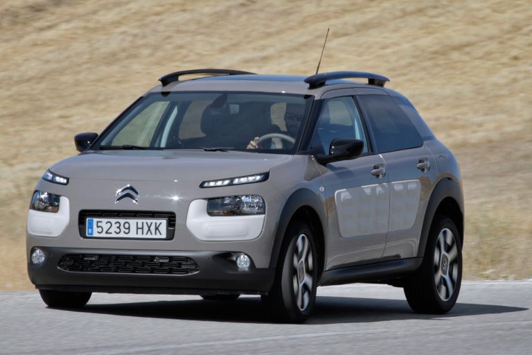 C4 Cactus