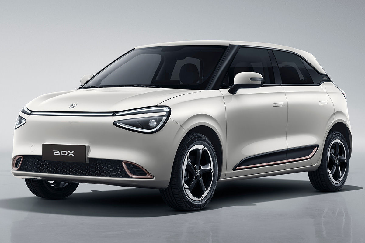 Box Limousine (2024 - Oggi)